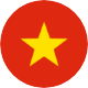 ベトナムの国旗アイコン