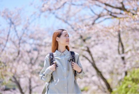 お花見